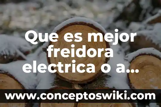 Para que es buena el agua con gas 5 Que es mejor freidora electrica o a gas