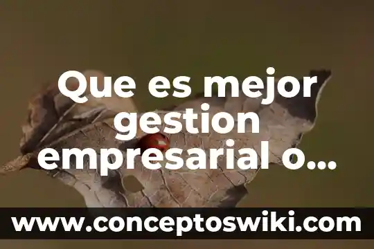 Que es la premisa para la administración 3 Que es mejor gestion empresarial o administracion de empresas