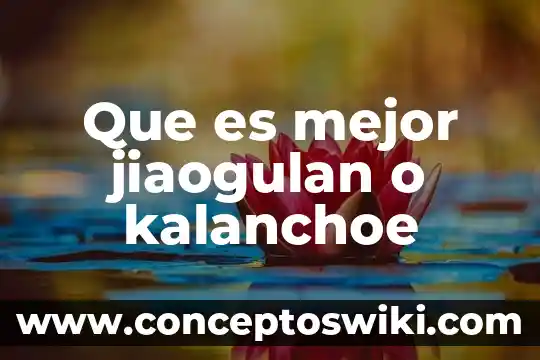 Qué es mejor Vanish o Mas Color 6 Que es mejor jiaogulan o kalanchoe