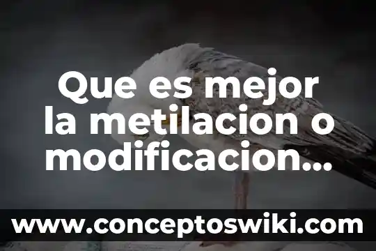 Que es mejor xbox one y 360 6 Que es mejor la metilacion o modificacion de histonas