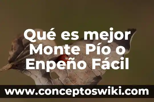 Por que es importante el escudo 7 Qué es mejor Monte Pío o Enpeño Fácil