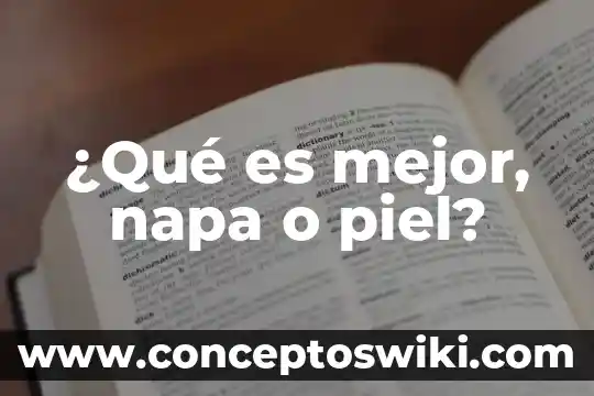 Vesiculas en la piel que es 4 ¿Qué es mejor, napa o piel?