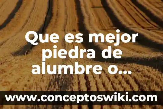 Que es mejor tomar el ensure liquido o en polvo 4 Que es mejor piedra de alumbre o polvo de alumbre