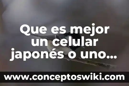 ¿Qué es más fácil aprender chino o coreano? 8 Que es mejor un celular japonés o uno chino