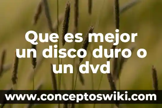 Que es el disco duro en un sistema de computo 3 Que es mejor un disco duro o un dvd