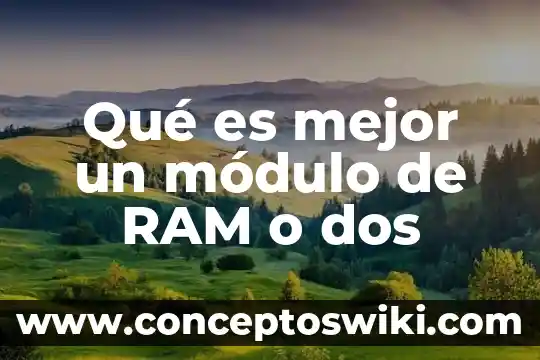 Investigar que es memoria ram 4 Qué es mejor un módulo de RAM o dos