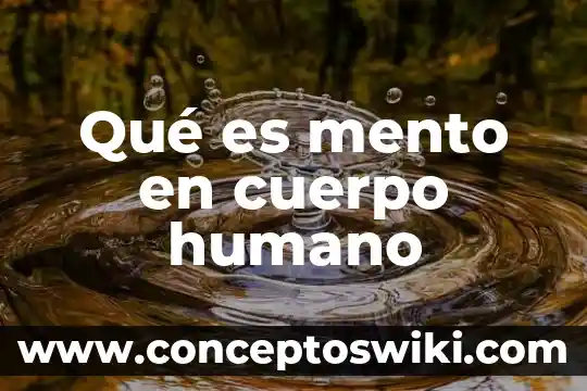 Que es el sodio en el cuerpo humano 5 Qué es mento en cuerpo humano