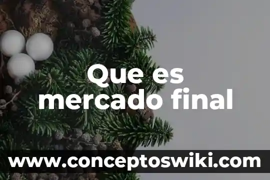 ¿Qué es mercado y características? 5 Que es mercado final