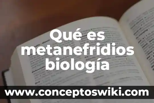 Que es la herencia suave o mezclada biologia 6 Qué es metanefridios biología