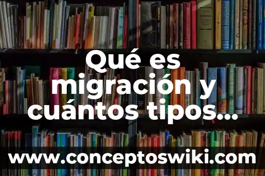 Qué es el encuadre y cuántos tipos existen 3 Qué es migración y cuántos tipos hay explicación