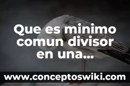 Qué es divisor común de un número determinado 6 Que es minimo comun divisor en una fraccion