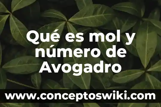 Qué es número de ubicación internacional gln 8 Qué es mol y número de Avogadro