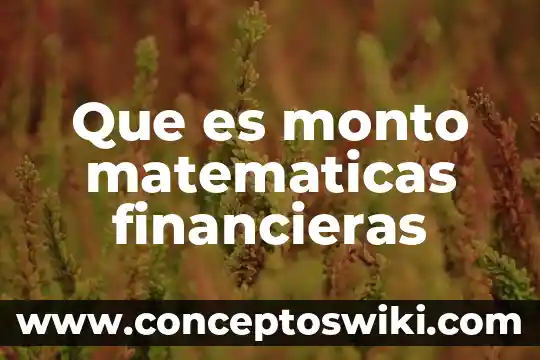 Qué es stangentee en matemáticas 5 Que es monto matematicas financieras