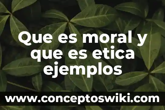 Que es persona moral mexico 5 Que es moral y que es etica ejemplos