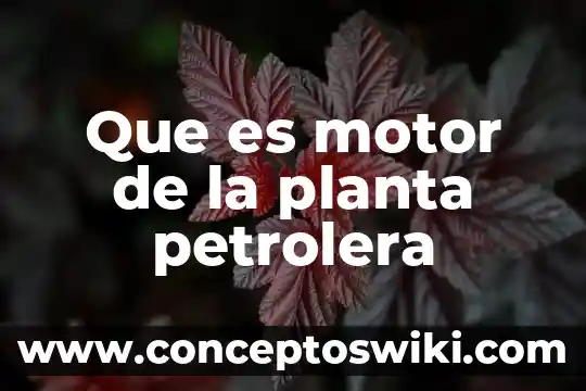 Qué es un motor y sus tipos de conexiones 3 Que es motor de la planta petrolera