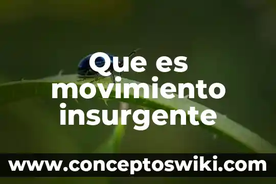 Qué es movimiento espiral 7 Que es movimiento insurgente