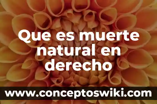 Que es seguro por muerte accidental 6 Que es muerte natural en derecho