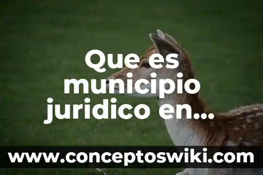 Ley del municipio libre que es 6 Que es municipio juridico en mexico