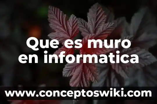 Que es un proceso en informatica 5 Que es muro en informatica