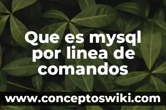 Mysql data entity que es 5 Que es mysql por linea de comandos