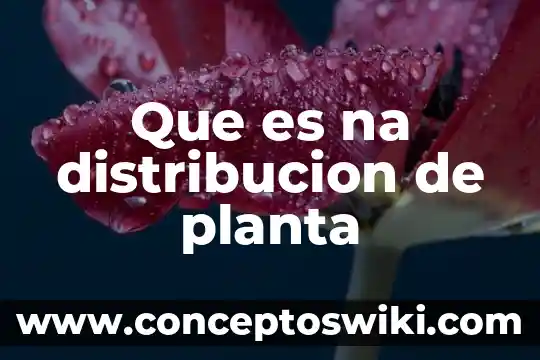 Por que es importante distribución de planta en un negocio 5 Que es na distribucion de planta
