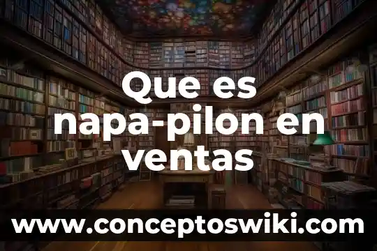 Que es estado de costos de produccion y ventas 3 Que es napa-pilon en ventas