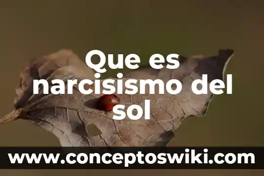 Qué es el narcisismo en términos históricos 5 Que es narcisismo del sol