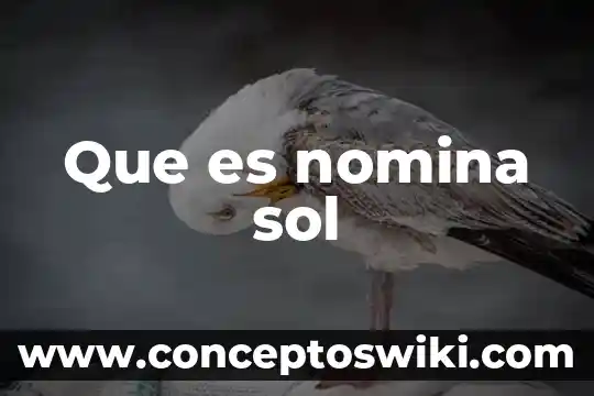 Que es y para que sirve la nomina 6 Que es nomina sol