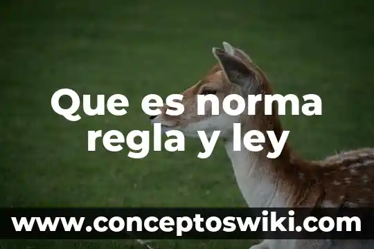 Que es la norma de salud 5 Que es norma regla y ley