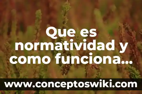 Que es el resultado dentro de una investigacion de mercados 5 Que es normatividad y como funciona dentro de una empresa