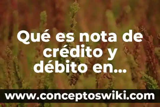 Que es cvc tarjeta de debito banamex 8 Qué es nota de crédito y débito en contabilidad