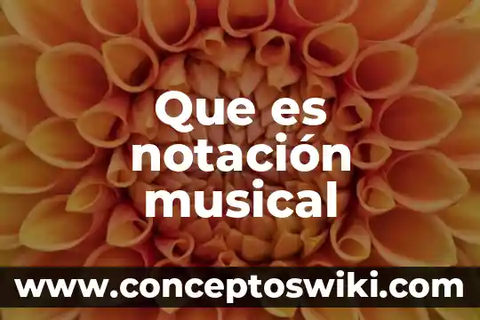Que es color musical 4 Que es notación musical