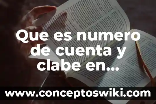 Qué es el número de cuenta CLABE que pide SAT 5 Que es numero de cuenta y clabe en coppel