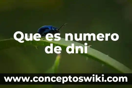 Qué es el número cas 4 Que es numero de dni