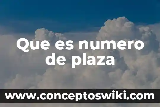 Qué es en número de foja 6 Que es numero de plaza