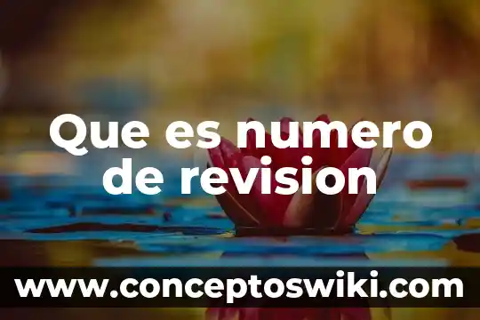 Qué es un número real y entero 8 Que es numero de revision
