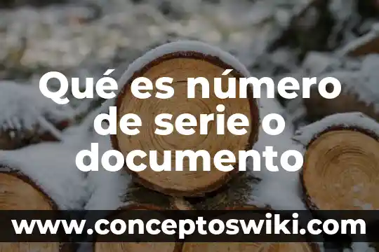 Qué es el número de vat 7 Qué es número de serie o documento