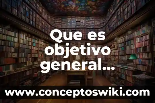 Que es un usuario general de la contabilidad 7 Que es objetivo general ecologia ejemplo