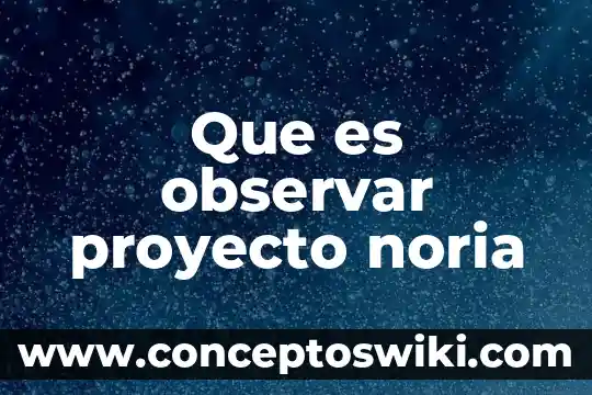 Que es un proyecto en asana 3 Que es observar proyecto noria