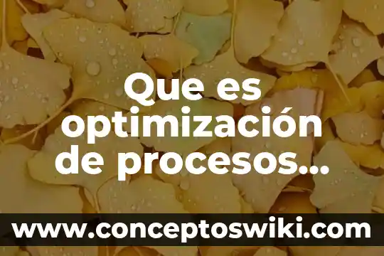 Que es optimización en excel 3 Que es optimización de procesos según autores