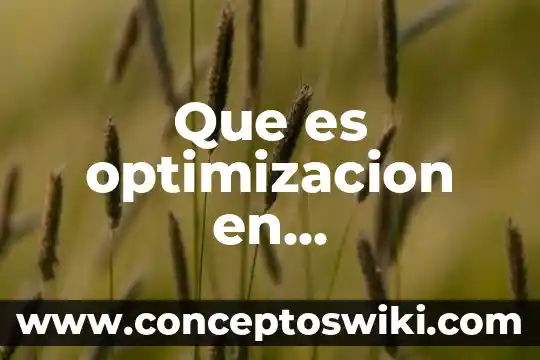 Que es optimización en excel 5 Que es optimizacion en programacion