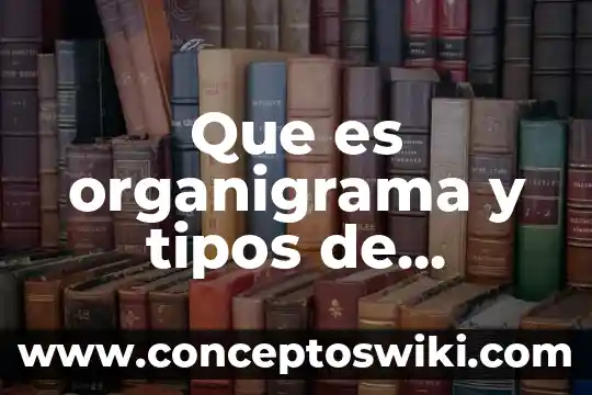 Que es una paremia y sus tipos 8 Que es organigrama y tipos de organigrama