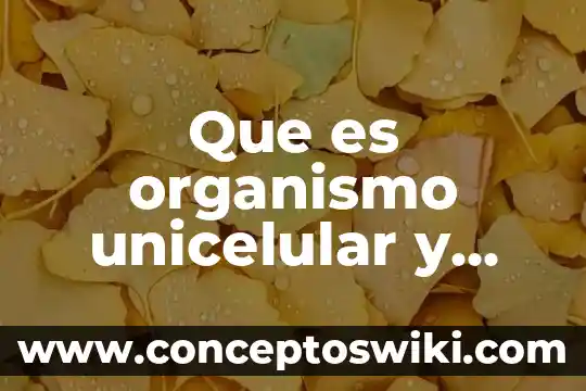 Que es un organismo institucional 3 Que es organismo unicelular y multicelular