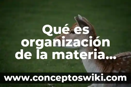 ¿Qué es el desvío de llamadas activado en celulares? 8 Qué es organización de la materia genética en organelos celulares