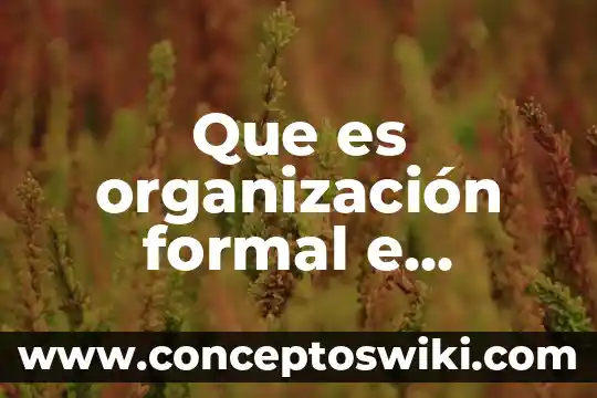 Que es el razonamiento formal e informal 6 Que es organización formal e informal