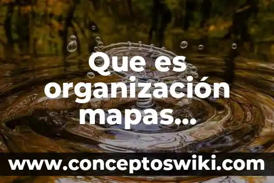 Que es mapas topografico 3 Que es organización mapas mentales