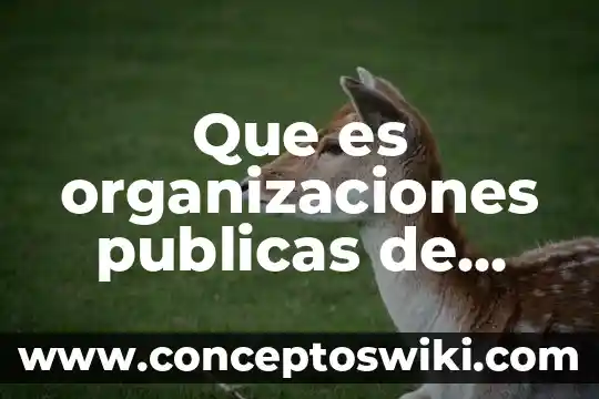 Defina que es una organizaciones auxiliar de crédito 3 Que es organizaciones publicas de arte