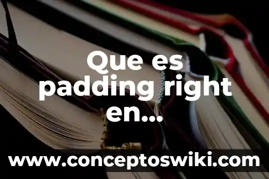 Qué es sneiderman en programación 7 Que es padding right en programacion