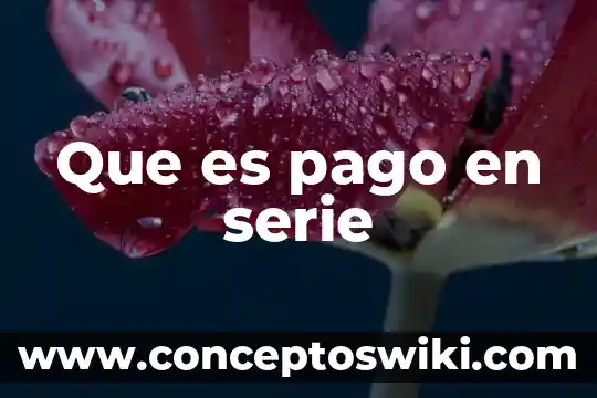 Pago tdc que es 8 Que es pago en serie