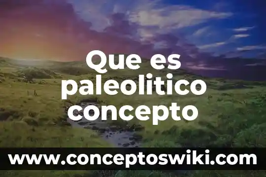 Concepto y qué es un presupuesto 6 Que es paleolitico concepto